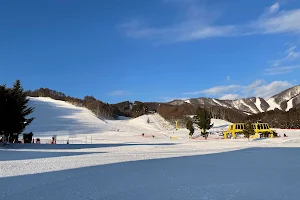 Katashina Kogen Ski Resort image