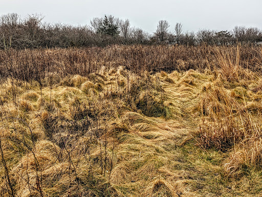 State Park «Squantum Point Park», reviews and photos, Miwra Haul Rd, Quincy, MA 02171, USA