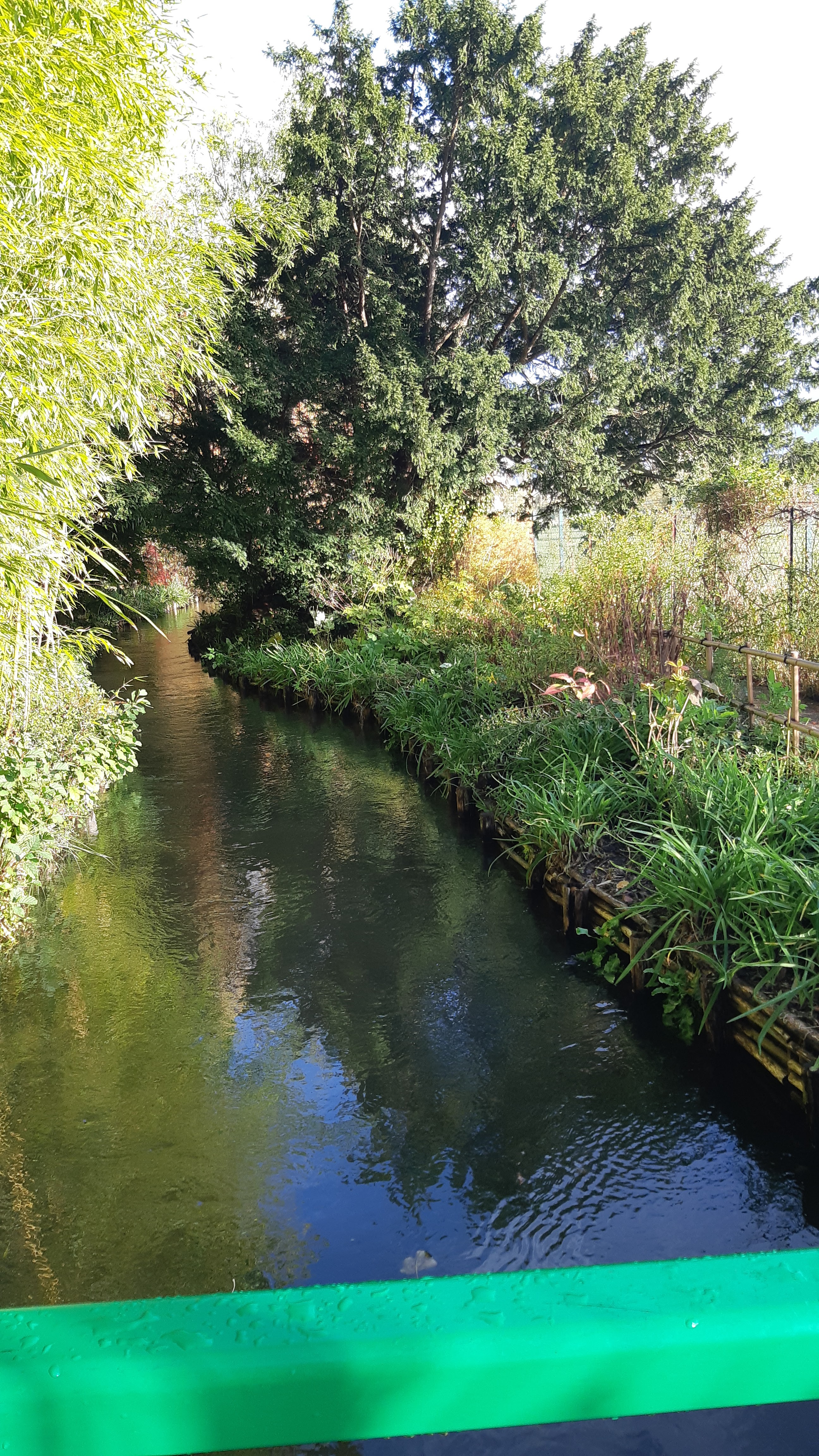 Photo n° 12 de l'avis de Jeanine.i fait le 02/11/2021 à 13:30