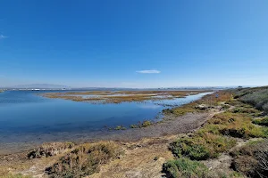 San Diego Bay National Wildlife Refuge image