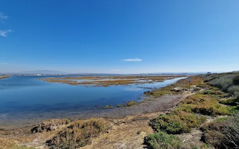 San Diego Bay National Wildlife Refuge image