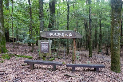 御池野鳥の森