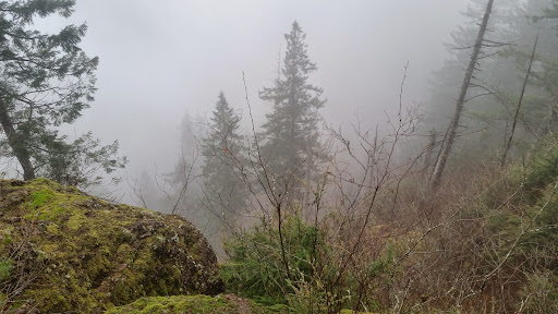 Park «Sewallcrest Park», reviews and photos, SE 31st Ave & Market St, Portland, OR 97214, USA