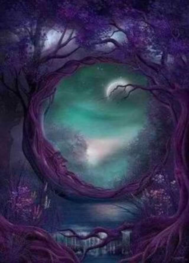 Mystic Moon Brows & Reiki Eyebrow Microblading 65453