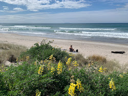 Foto van Papamoa Beach en de nederzetting