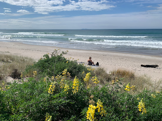 Papamoa Beach