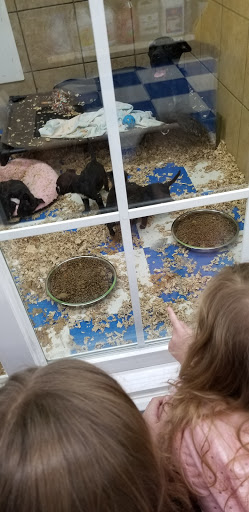 Pet Supply Store «Pets Plus - Bensalem», reviews and photos, 1336 Bristol Pike, Bensalem, PA 19020, USA