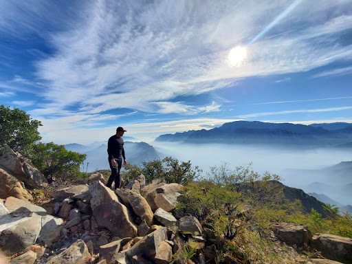 Parques y Vida Silvestre de Nuevo León