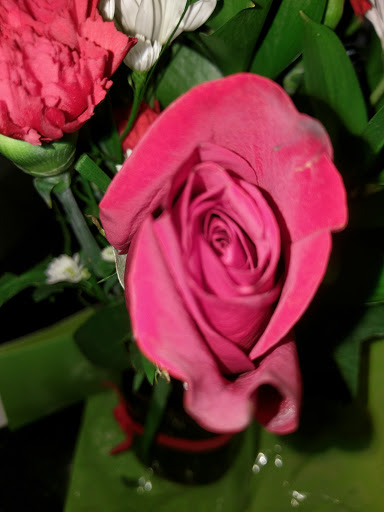 E-commerce Service «ProFlowers.Com», reviews and photos, 2600 McCree Rd, Garland, TX 75041, USA