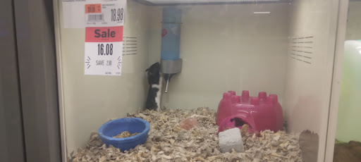 Pet Supply Store «Pet Supplies Plus - Stephenville», reviews and photos, 106 Christy Plaza, Stephenville, TX 76401, USA