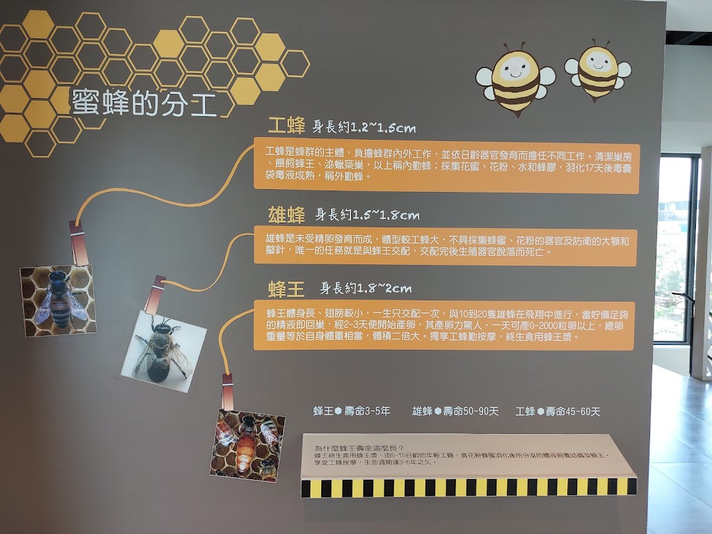 蜂之鄉 - 鳳林蜜蜂生態教育館 的照片
