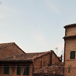 Photo n°1 de l'avis de Francesca.o fait le 01/07/2020 à 12:56 sur le  Ristorante Pizzeria Taverna San Nicolò à Montecassiano