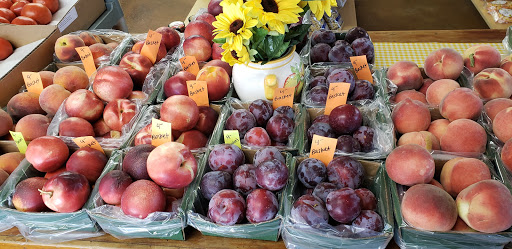 Market «Biglieri Farms Farm Market», reviews and photos, 17815 CA-88, Clements, CA 95227, USA