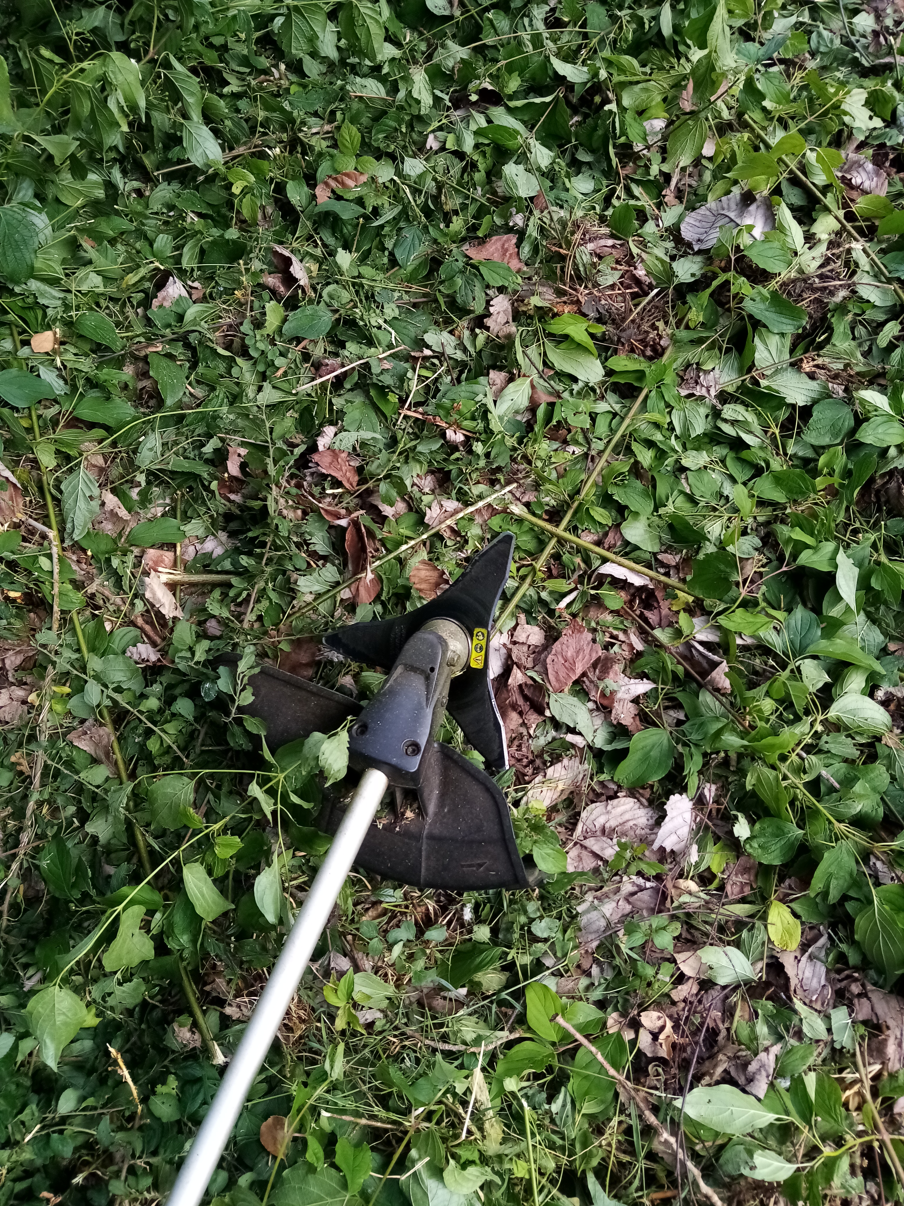 Photo n° 8 de l'avis de gerard.e fait le 09/01/2023 à 15:18