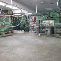 Arizona Bird Store - Photo 3 - Car repair in Mesa, AZ, Phoenix