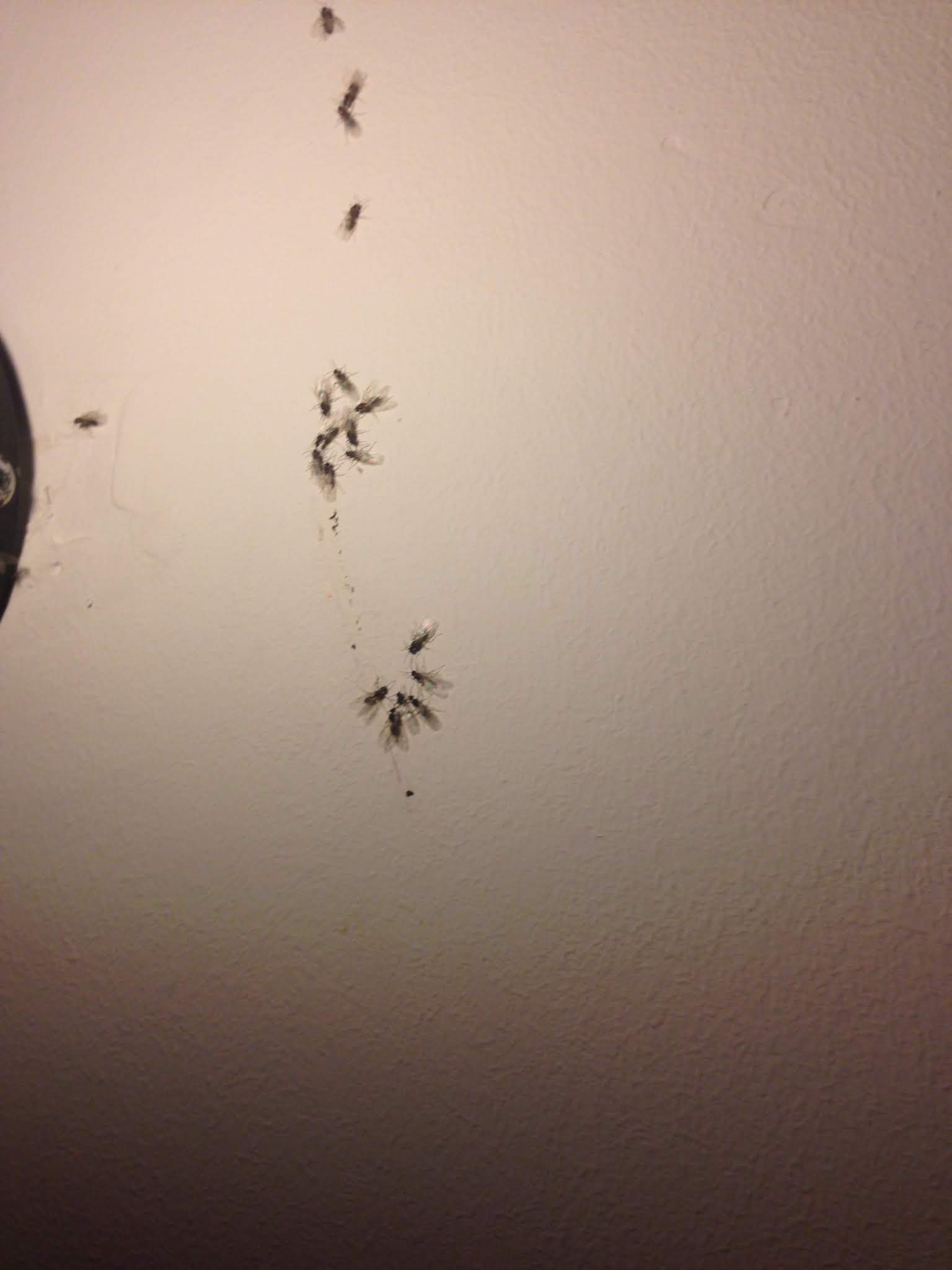Photo n° 1 de l'avis de Gabriel.. fait le 11/07/2018 à 22:49