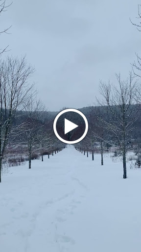 Tourist Attraction «Dover Stone Church», reviews and photos, 3128 NY-22, Dover Plains, NY 12522, USA