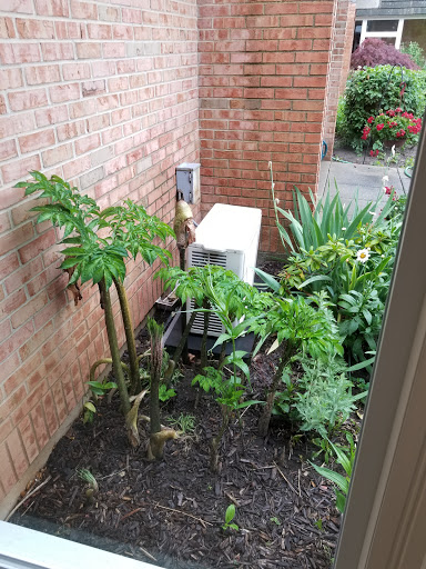 Donut Shop «The Donut Conspiracy», reviews and photos, 1971 E Beltline Ave NE #123, Grand Rapids, MI 49525, USA