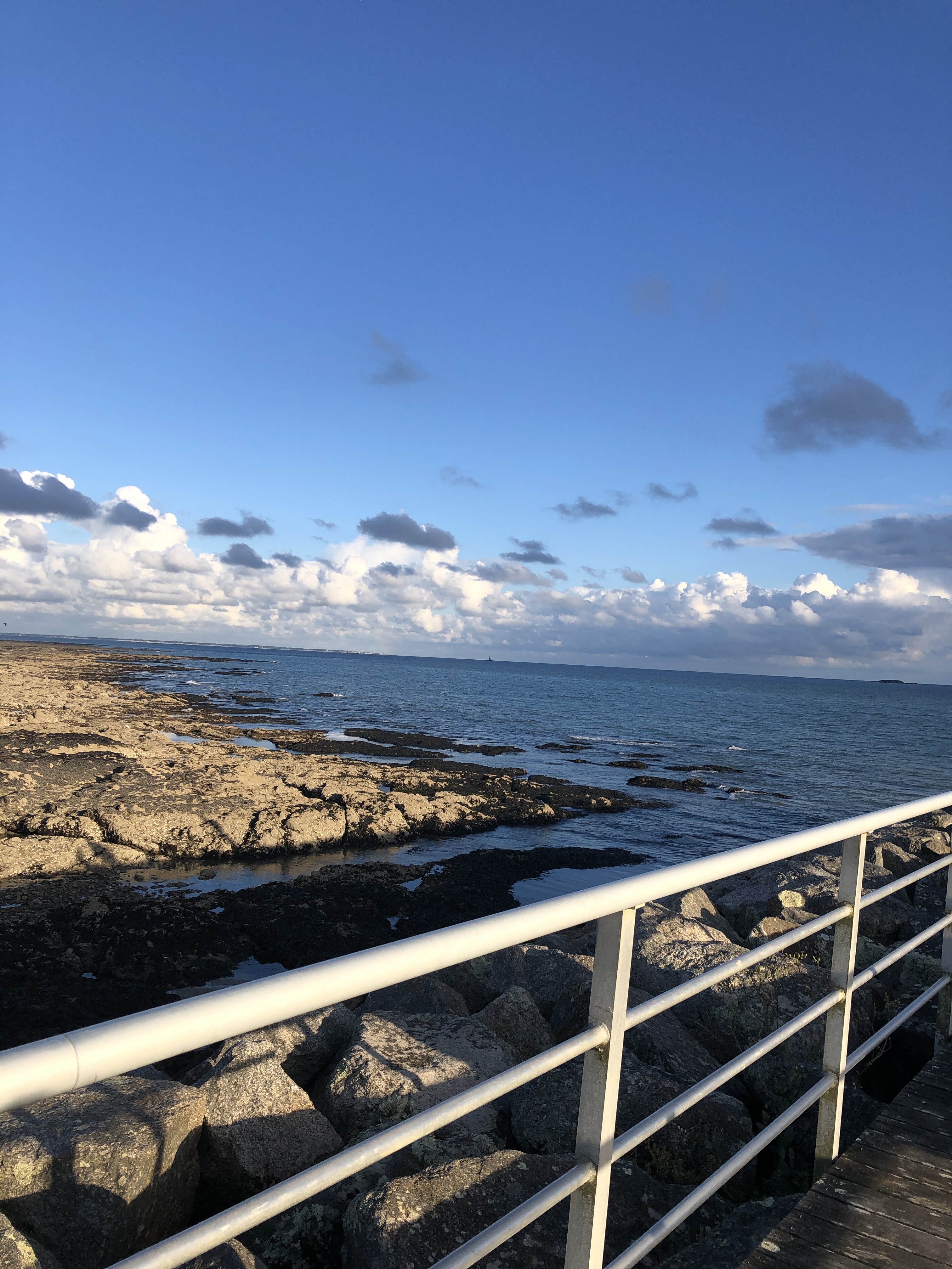 Photo n° 2 de l'avis de Flore.r fait le 27/08/2019 à 20:35