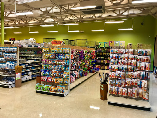 Pet Club S Avondale, 11435 W Buckeye Rd a106, Avondale, AZ 85323, USA, 