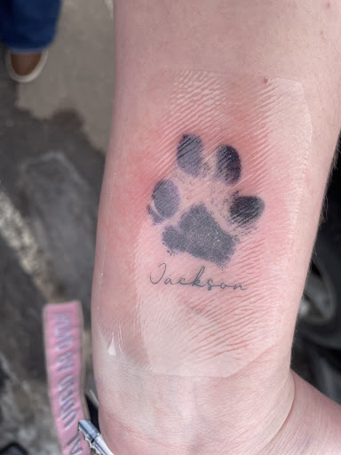 Find tattoo ideas with birds for your next unique tattoo in Colorado Springs at Fallen Heroes Tattoo & Piercing (Colorado)