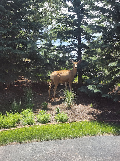 Golf Club «The Club at Cordillera - Summit Course», reviews and photos, 190 Gore Trail, Edwards, CO 81632, USA