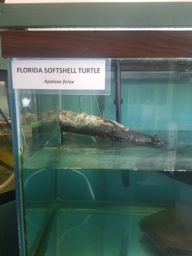 Non-Profit Organization «Sanibel-Captiva Conservation Foundation», reviews and photos, 3333 Sanibel Captiva Rd, Sanibel, FL 33957, USA