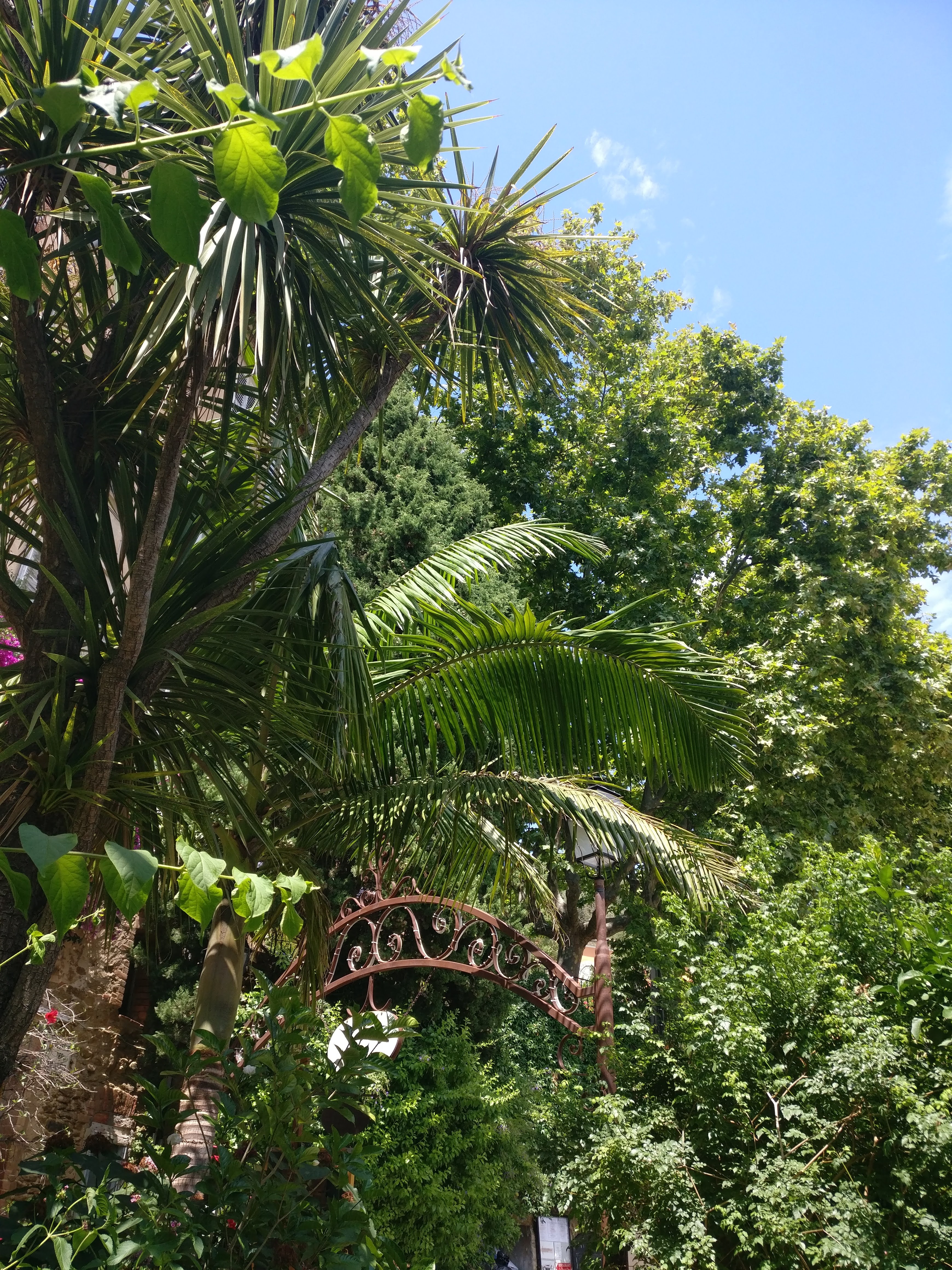 Photo n° 2 de l'avis de Rémi.l fait le 23/07/2020 à 13:53