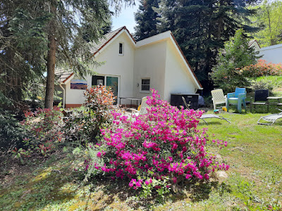 Villa 77 à Daumazan-sur-Arize