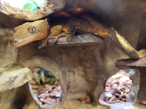 Pet Supply Store «Petco Animal Supplies», reviews and photos, 38069 Town Center Dr #222, Millville, DE 19967, USA