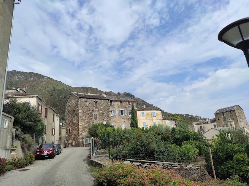 Le Coton's Cafe à Sant'Andréa-di-Cotone (Corse 20)