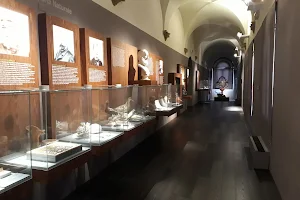 Museo di San Domenico image