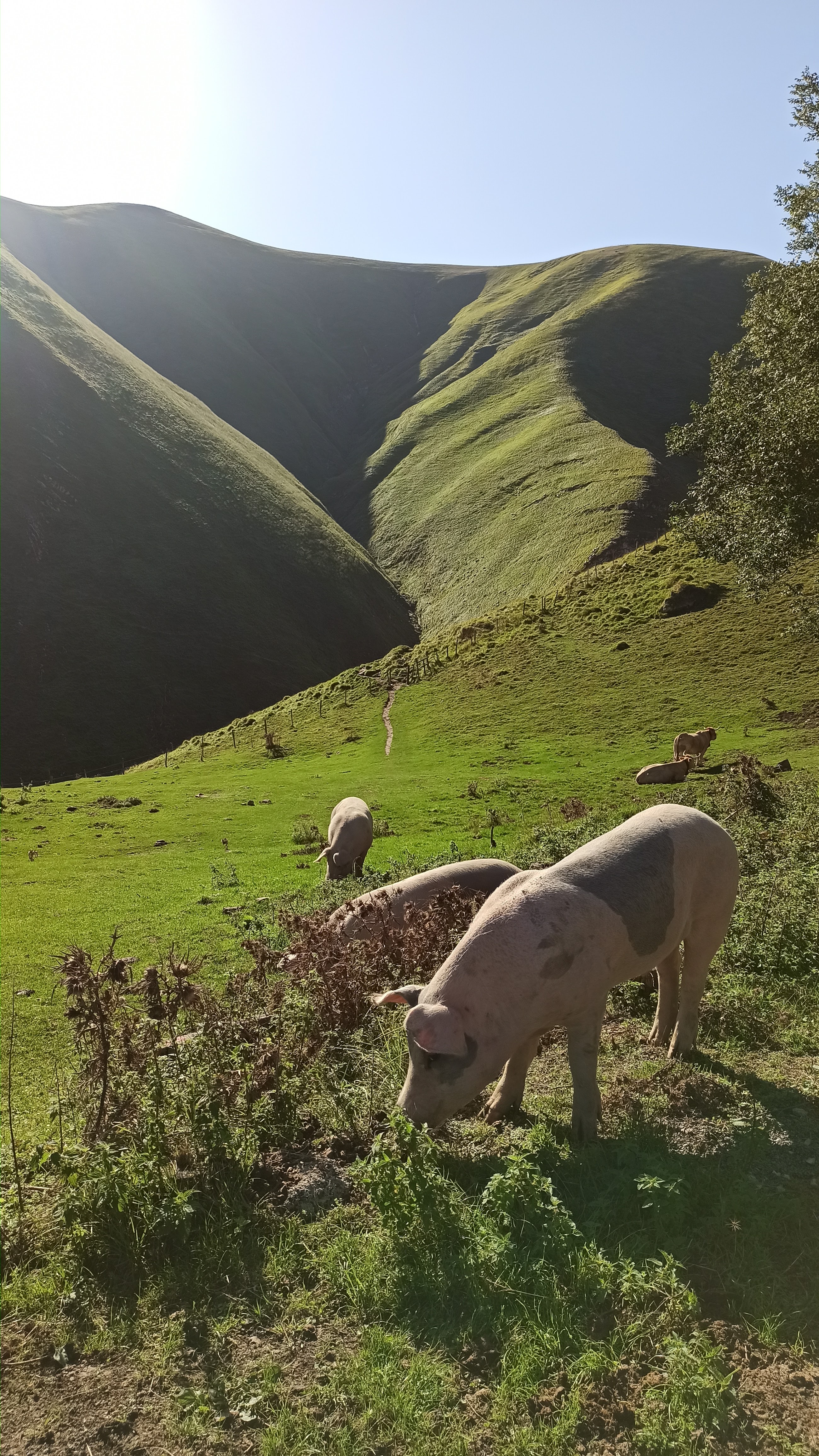 Photo n° 4 de l'avis de Cipry.r fait le 11/09/2022 à 14:11