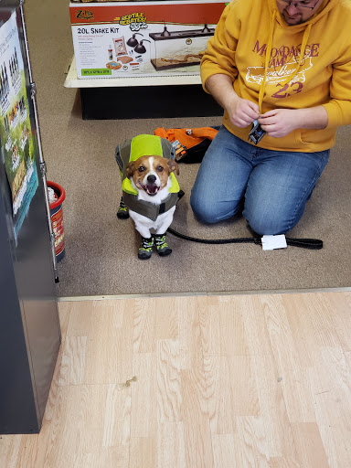 Pet Supply Store «Best Pets», reviews and photos, 905 Washington Ave, Detroit Lakes, MN 56501, USA