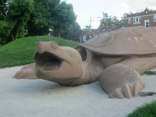 Turtle Playground