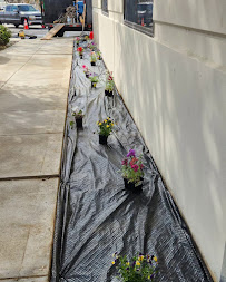 Inland Empire Street Maintenance & Landscape, LLC - Photo 8 - Car repair in , San Bernardino