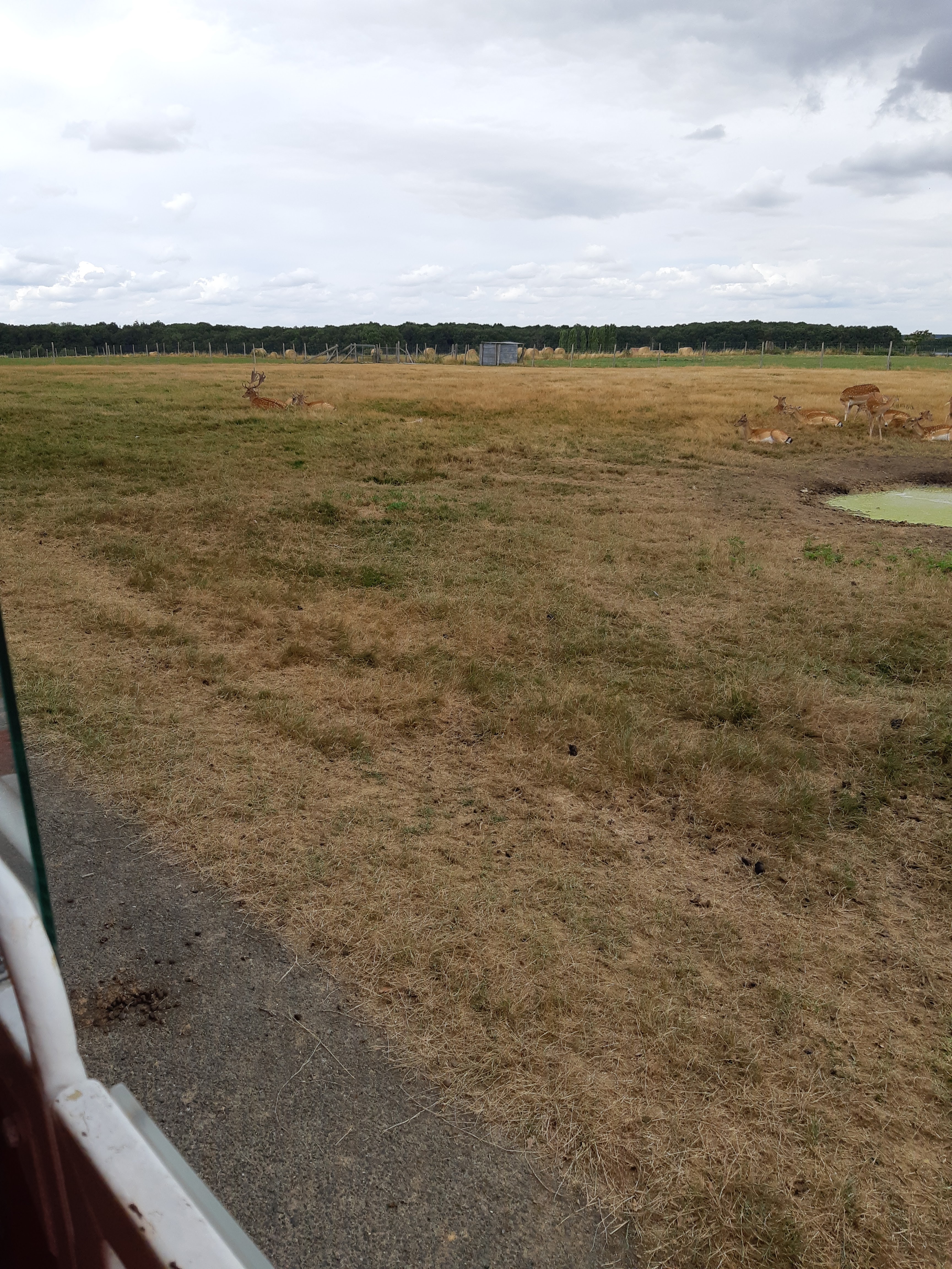 Photo n° 21 de l'avis de Carla.a fait le 10/08/2018 à 15:54