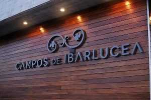 Campos de Ibarlucea. image