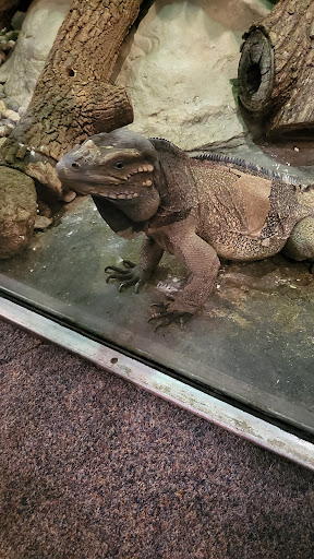 Zoo «Henry Vilas Zoo», reviews and photos, 702 S Randall Ave, Madison, WI 53715, USA