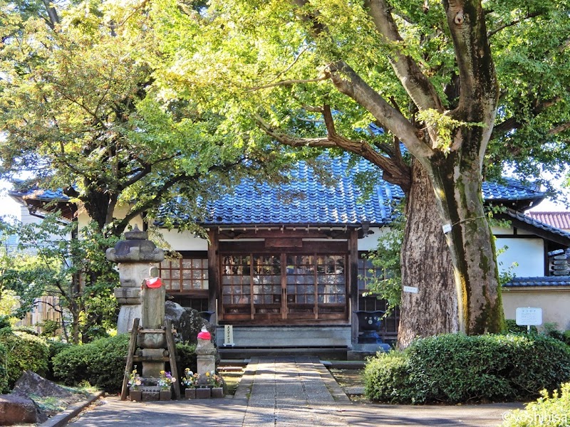 浄光寺