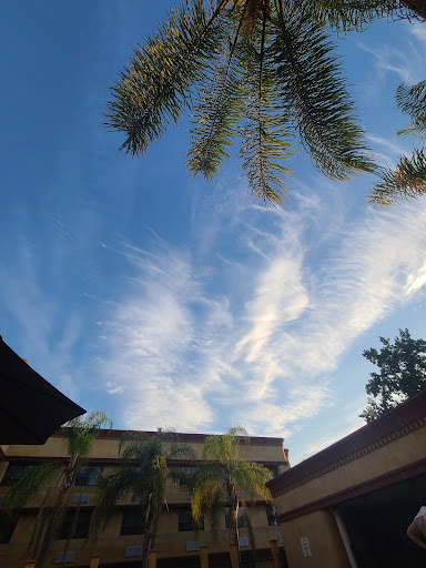 Hotel «Holiday Inn Express Union City», reviews and photos