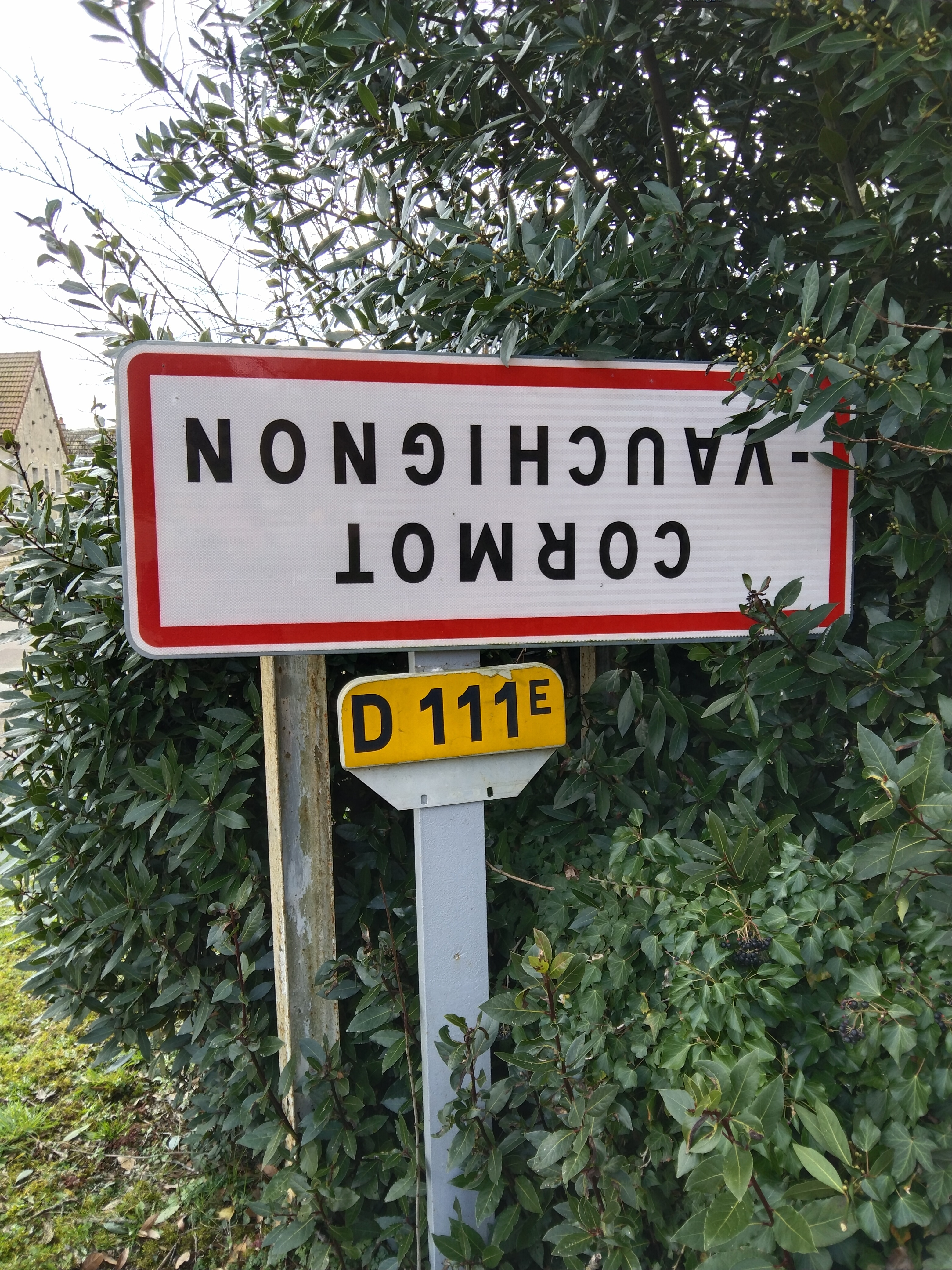 Photo n° 11 de l'avis de Véronique.e fait le 10/03/2024 à 08:15