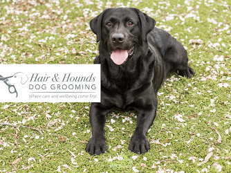 Hair and Hounds Dog Grooming