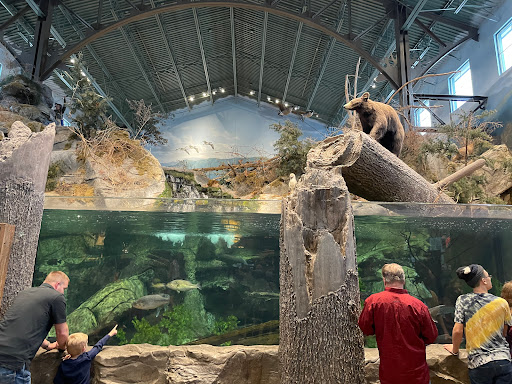 Sporting Goods Store «Bass Pro Shops», reviews and photos, 323 Opry Mills Dr, Nashville, TN 37214, USA