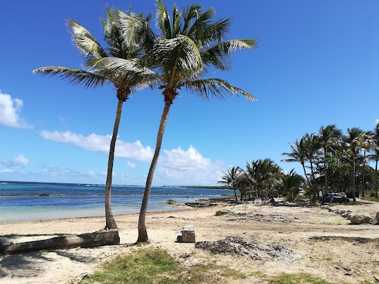 Plage de Montal