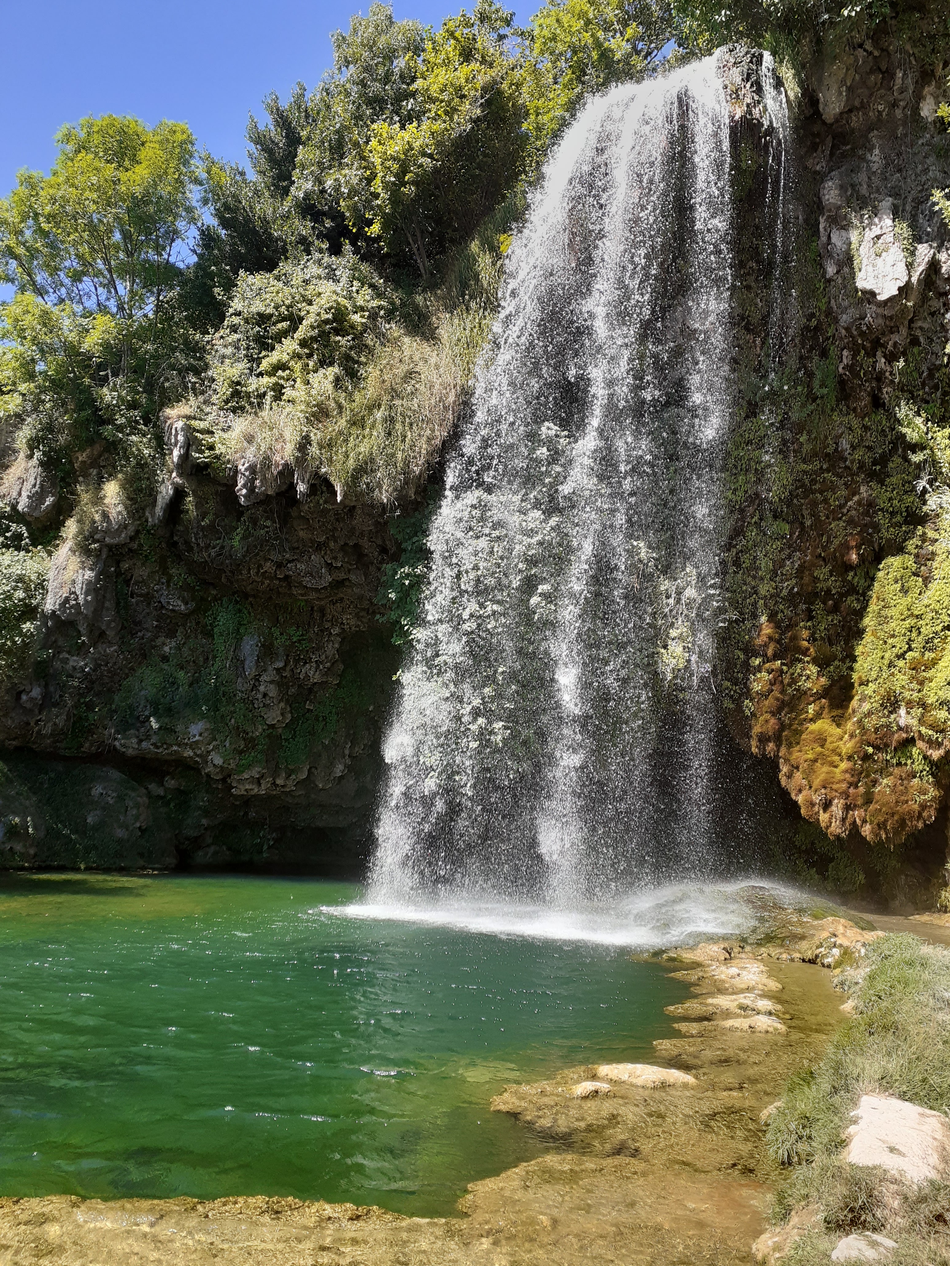 Photo n° 16 de l'avis de laurence.a fait le 19/07/2020 à 15:08