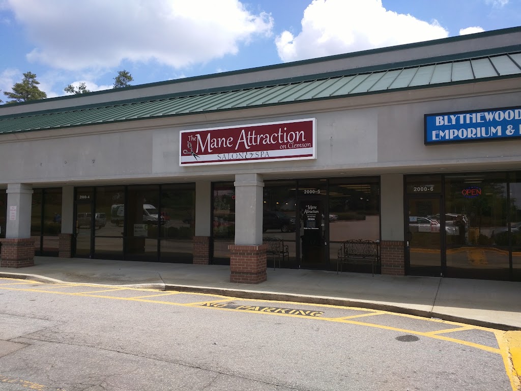 The Mane Attraction On Clemson LLC 29229