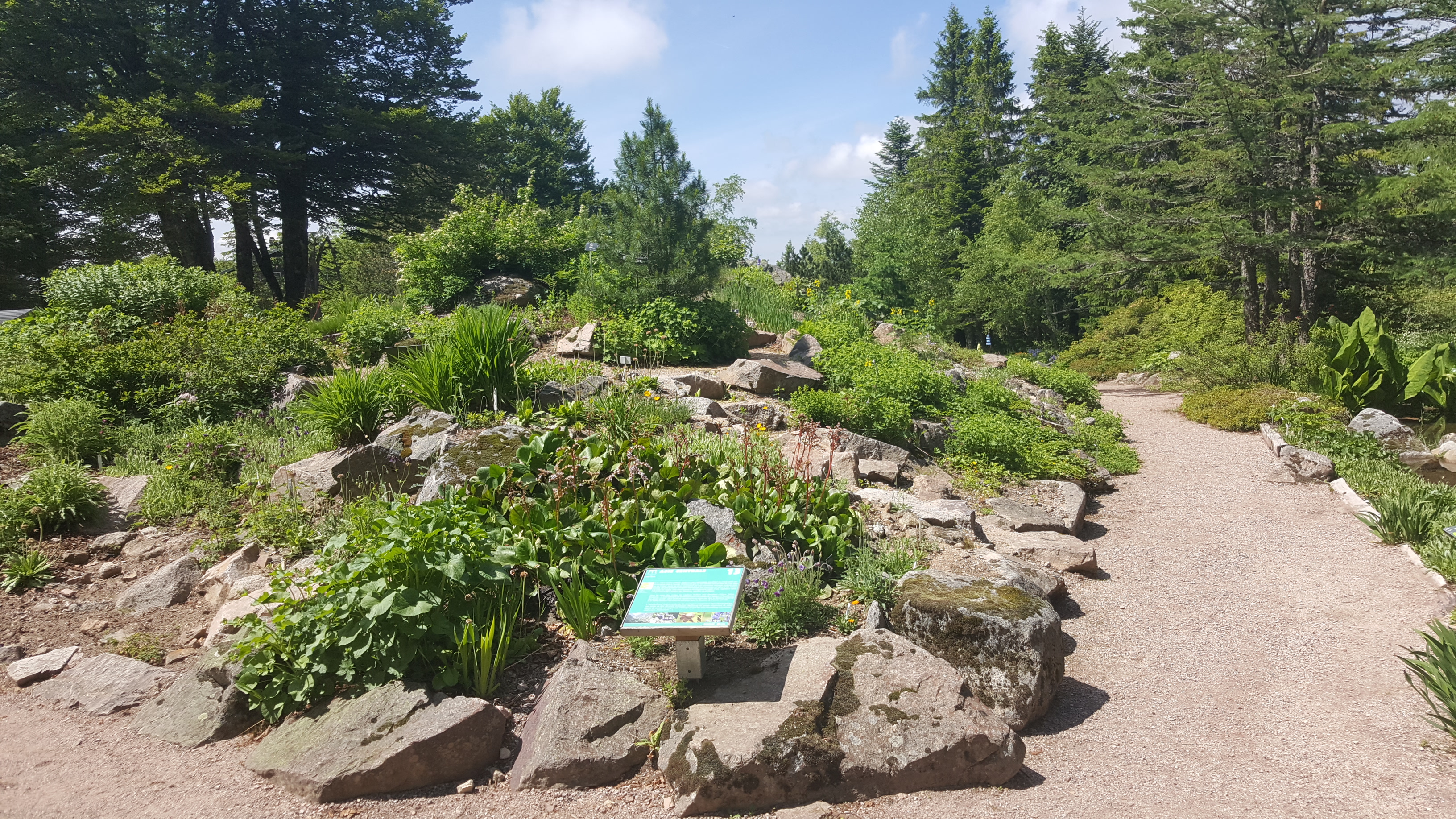 Photo n° 14 de l'avis de Jean-Sébastien.O fait le 23/06/2019 à 16:49