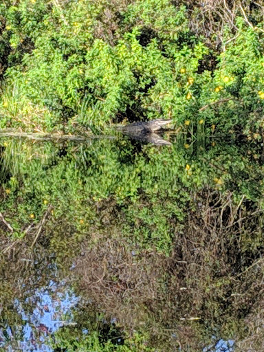 Pet Store «Phillips Feed & Pet Supplies», reviews and photos, 4350 Amberjack Blvd, Plant City, FL 33566, USA