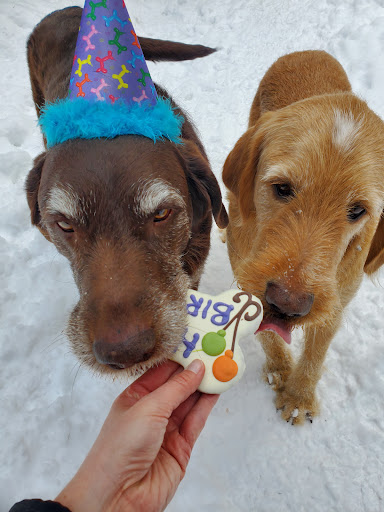 Pet Supply Store «Ma & Paws Bakery», reviews and photos, 1227 E 3300 S, Millcreek, UT 84106, USA